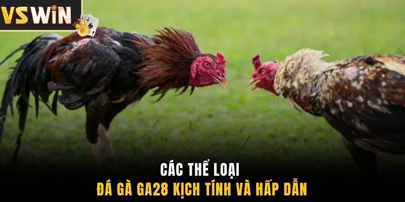 Các thể loại đá gà GA28 kịch tính và hấp dẫn