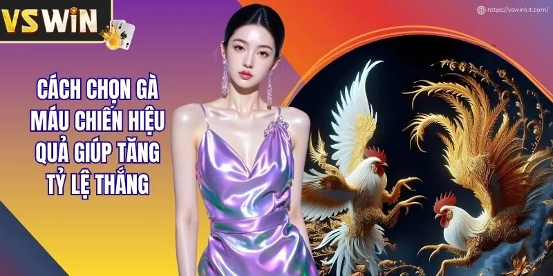 Cách Chọn Gà Máu Chiến Hiệu Quả Giúp Tăng Tỷ Lệ Thắng