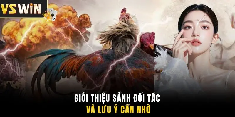 Giới thiệu sảnh đối tác và lưu ý cần nhớ