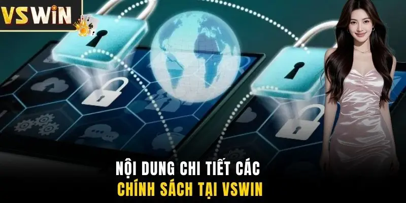 Nội dung chi tiết các chính sách tại VSWIN
